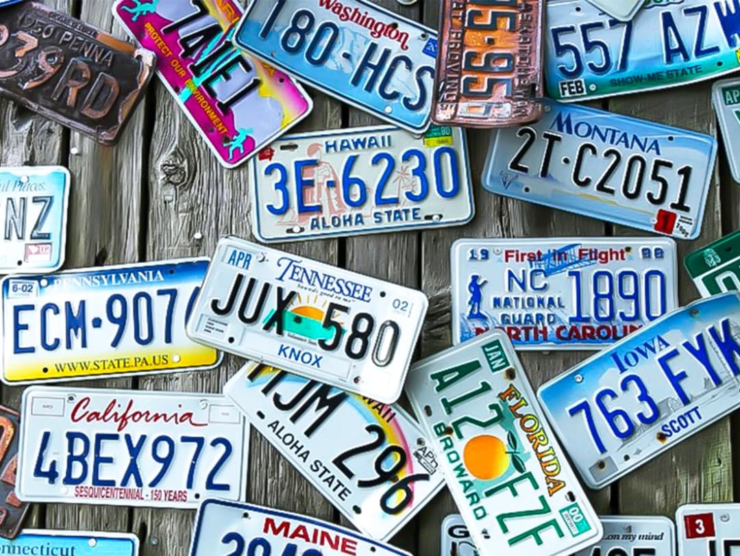 Out-of-State Transfers